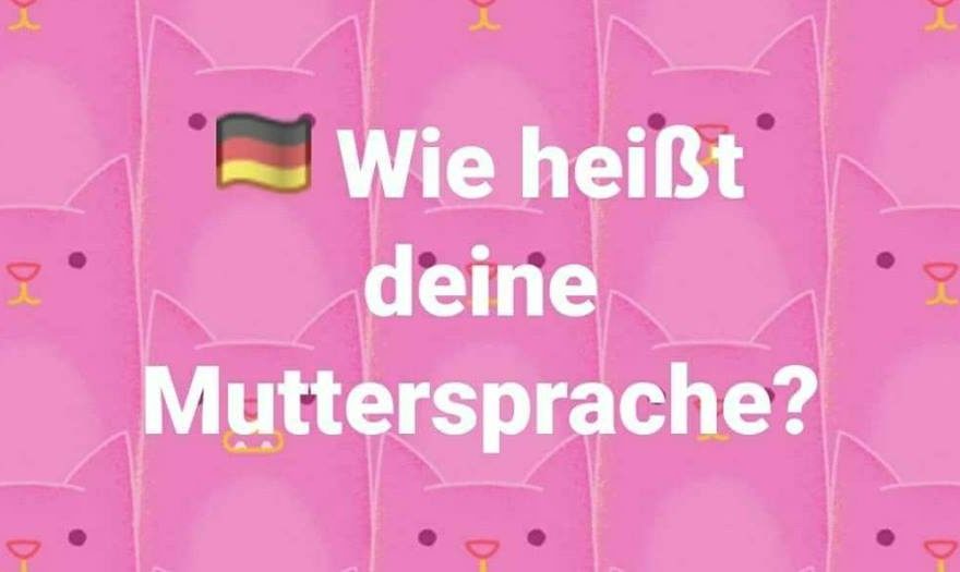 Wie heißt deine Muttersprache? Deutsch Viel Spass