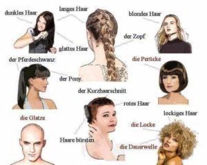 das Haar ; die Frisur - Deutsch - Viel Spass